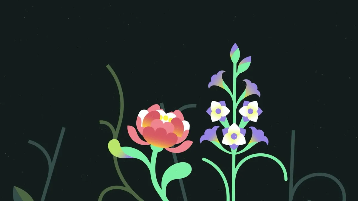 Colorful illustrated flowers against a deep green background.